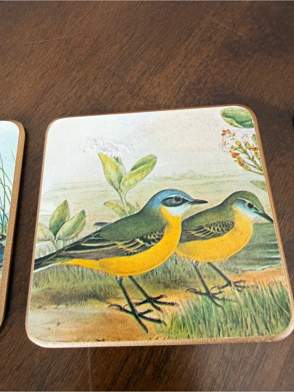 Vintage Bird Cork Back Coaster Set of 3 Cottagecore Nature Decor